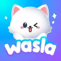 وصلة شات Wasla